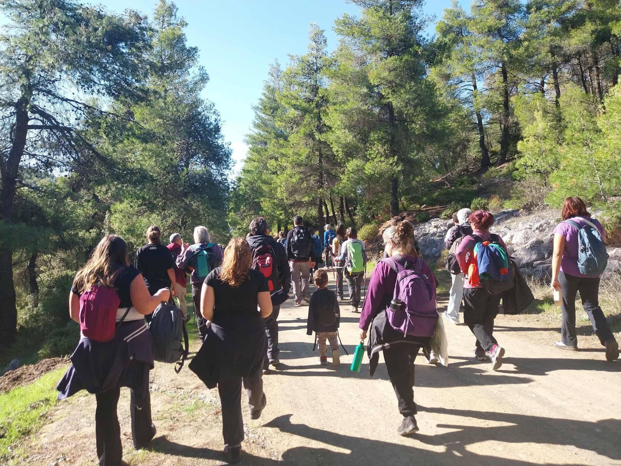 asa parnitha 11 2025 04